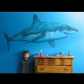 masonsroomshark